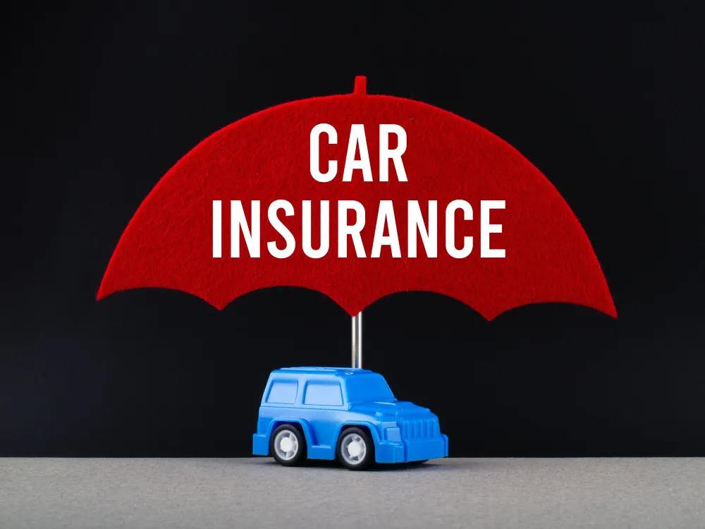 Information Asymmetry in Insurance Markets: The Case of Car Insurance in India