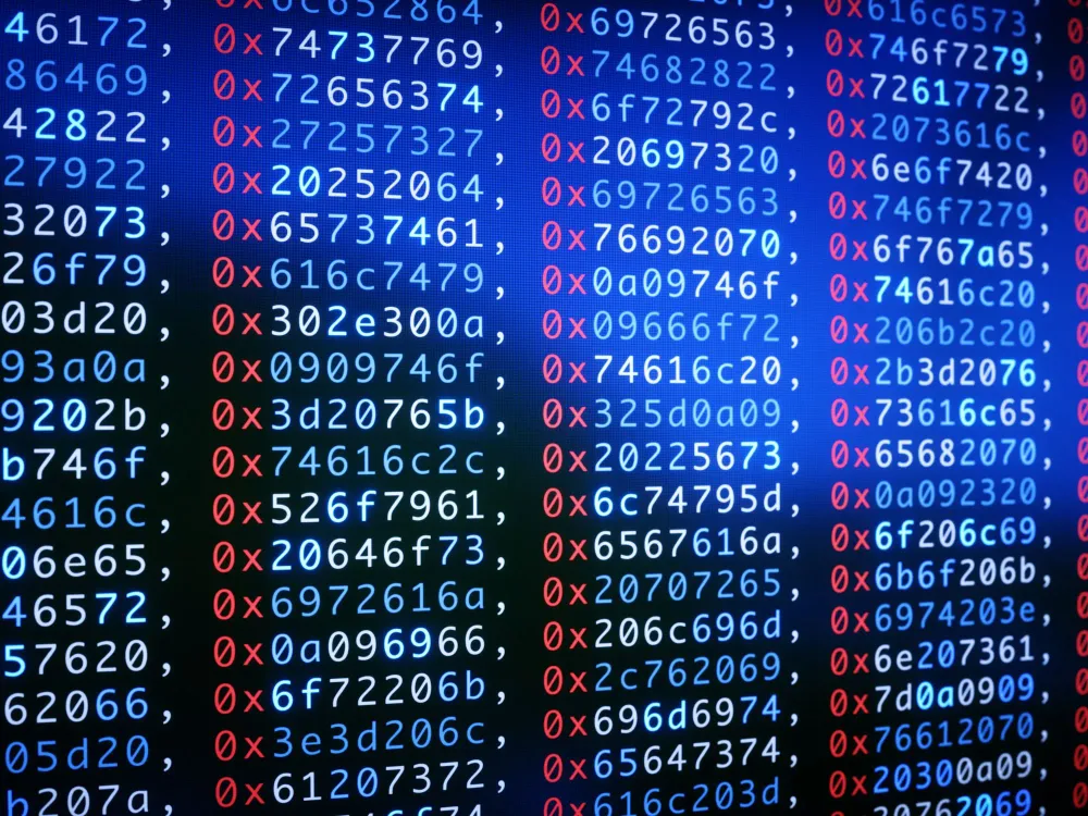 One Dataset, Many Insights: Maximizing Research Output in Economics