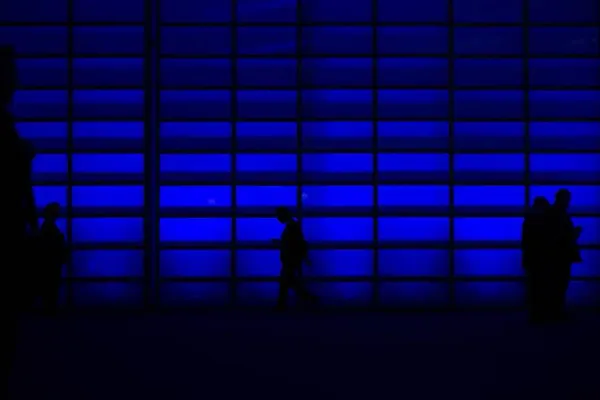 Questions on price elasticity of demand