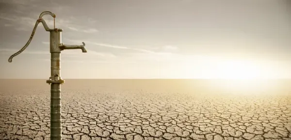 What Is Inelastic Demand?