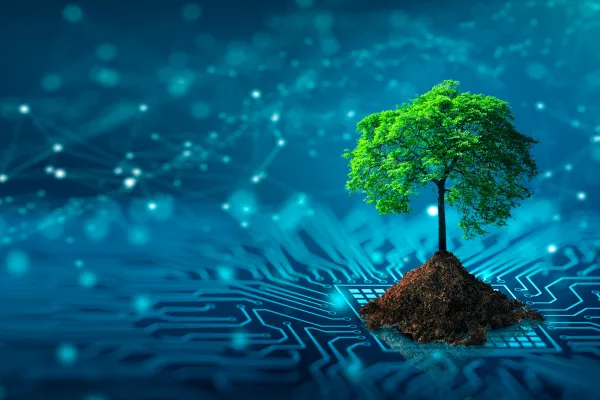 IT Compliance Economics for High-Value Companies