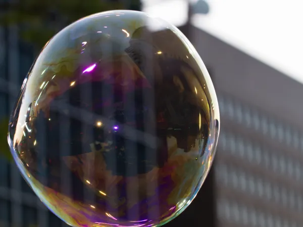 Speculative Bubbles and Behavioral Economics: The Rise of Dogecoin